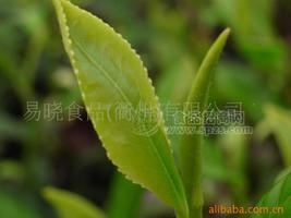 【綠茶批發(fā)】高端綠茶清新脫俗炒青開(kāi)化龍頂茶