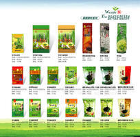 生产加工茶叶 优质绿茶