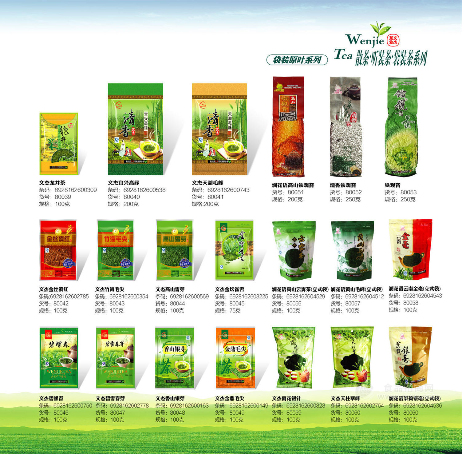 生产加工茶叶 优质绿茶