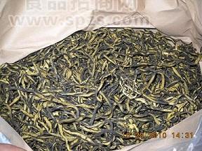 南极海茸