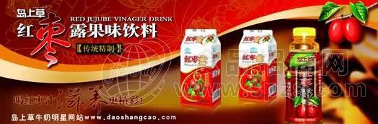 红枣露果味饮料