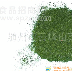 供应绿茶、茶叶、绿碎茶