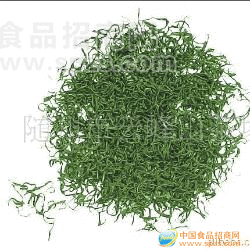 云雾毛尖