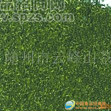 供应低农残绿碎茶（绿茶末、绿茶片）(夏茶)