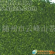 供应欧盟标准绿碎茶，绿茶片，绿茶末(图)