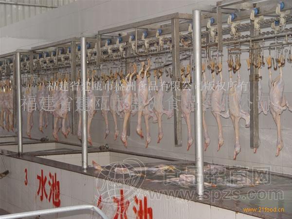 白条鸭