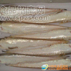 供應黃河刀魚
