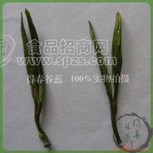 得春谷蕊牌10新茶/正宗地產(chǎn)高山安吉白茶