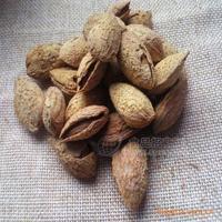 剥客 巴旦木/壳杏仁 特级薄壳