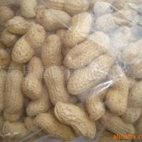 大量烤花生果
