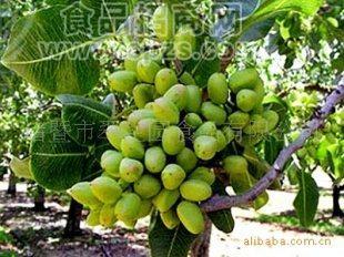 [38元特价]优质翠生园开心果