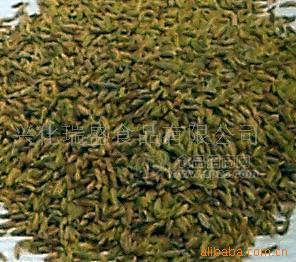 供应小茴香粉