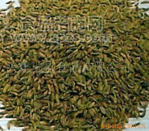 供应小茴香粉