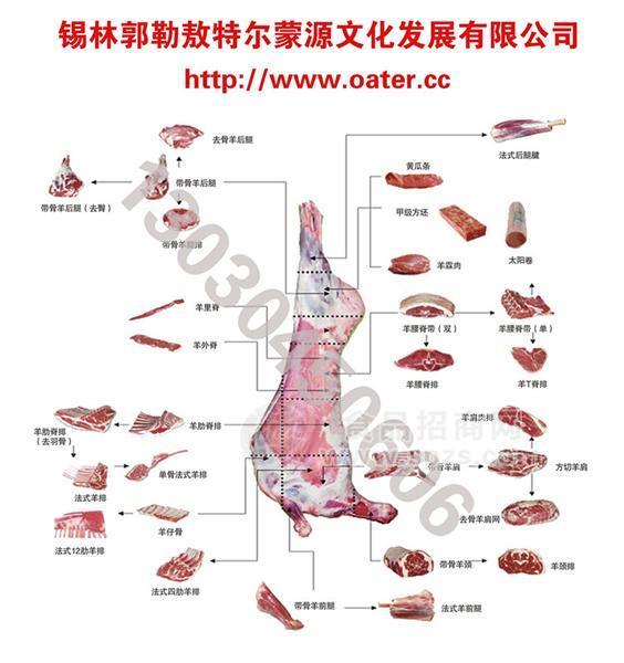 內(nèi)蒙古敖特爾綠色羊肉