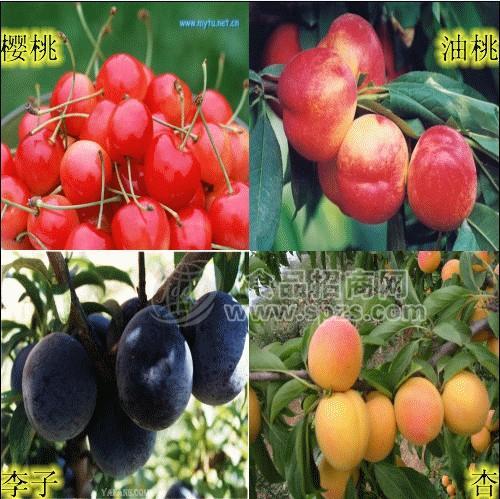 油桃，李子，櫻桃，獼猴桃，香菇，木耳
