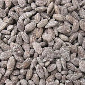 吊瓜子 奶香味 