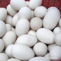 白鹅蛋