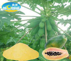 南派纯木瓜粉（速溶木瓜粉、天然木瓜粉）
