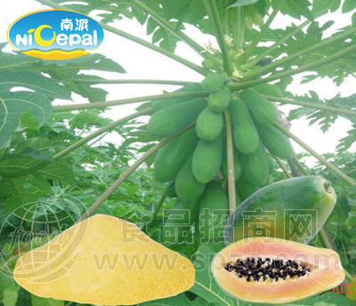 南派纯木瓜粉（速溶木瓜粉、天然木瓜粉）