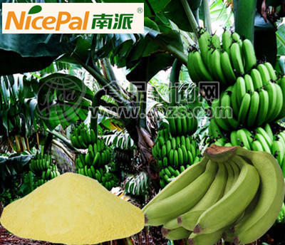 南派纯香蕉粉