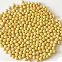 供应优质大豆每吨3300元