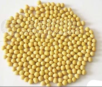 供应优质大豆每吨3300元