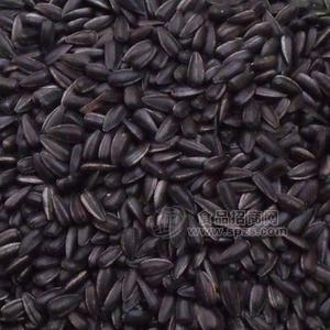 黑珍珠（散装）