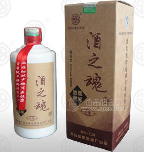 國(guó)寶酒之魂5年