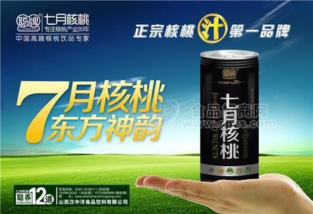 聪牌核桃汁-七月核桃240ml