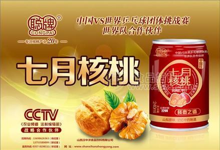 聰牌 七月核桃 中國(guó)紅核桃露240ml