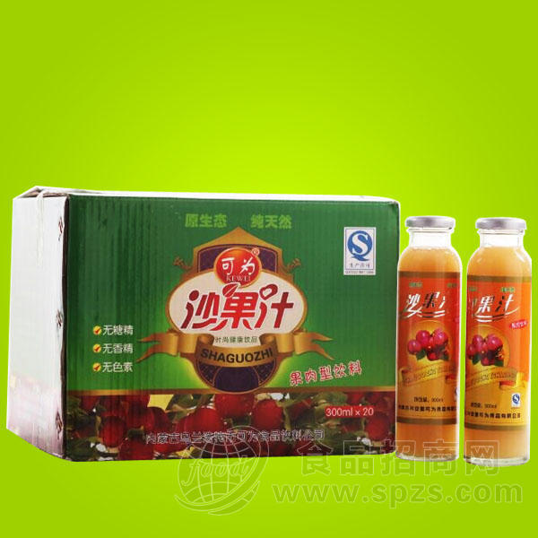 可为 沙果汁果肉型饮料300mlx20瓶