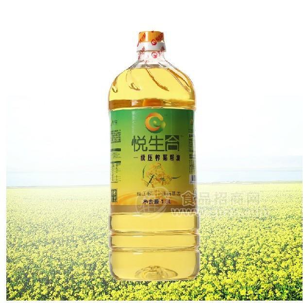 一級壓榨菜籽油 低溫冷榨更易吸收 1.8L桶裝