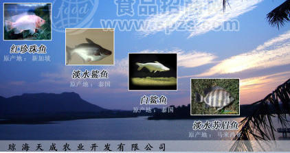 淡水鲨鱼