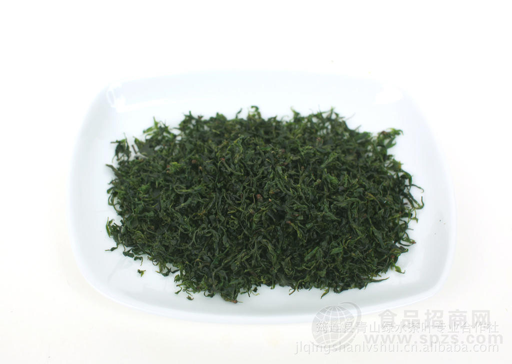 苦丁茶 小叶苦丁茶 又名青山绿水【筠连苦丁茶】