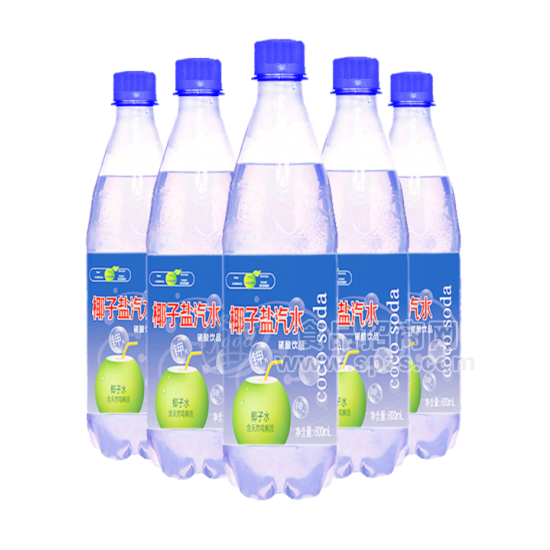 宜安堂 椰子盐汽水 碳酸饮品 600ml