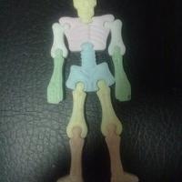 压片骨头拼图