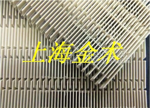 蒸汽杀菌塑料网带