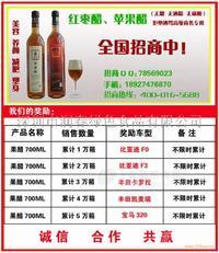 綠之源紅棗醋蘋果醋飲料