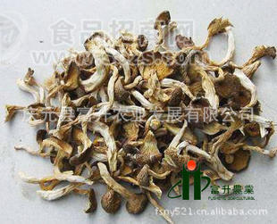 真姬菇批发真姬菇蟹味菇厂家直销
