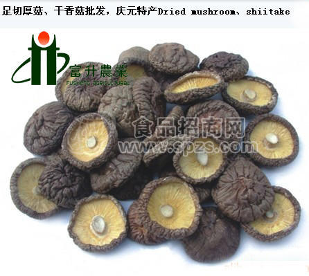 黑面菇批发黑面菇厂家直销
