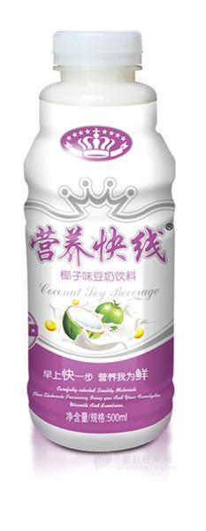 椰子味营养快线豆奶饮料（瓶装）