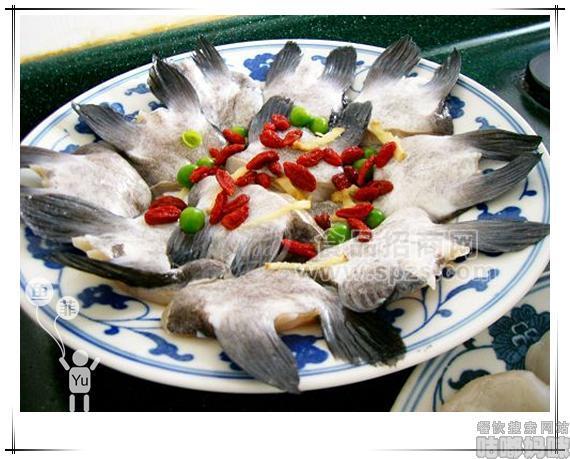 回魚(yú)翅