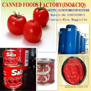 出口番茄酱/蘑菇/竹笋罐头/大桶酱36%