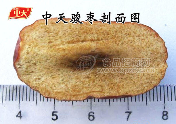中天骏枣