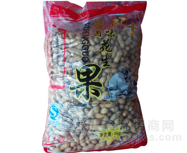·卤味花生果 4kg 