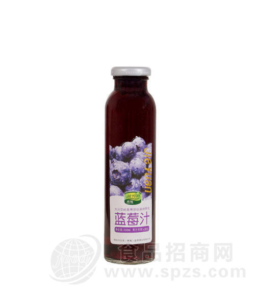蓝莓汁300ml