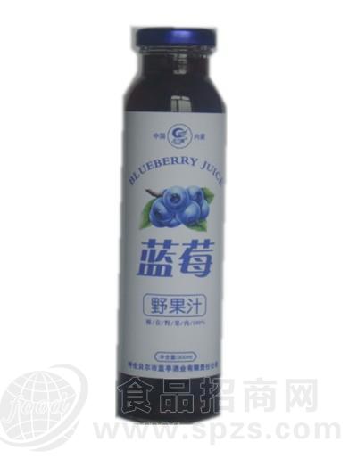 蓝莓果汁（300ml）