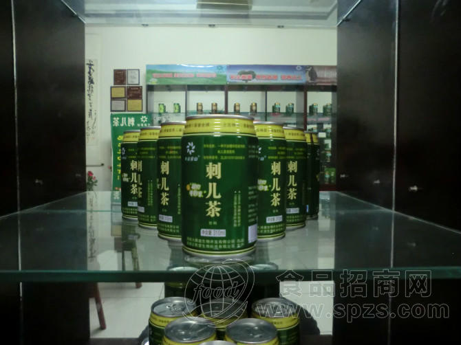 刺儿茶饮料水