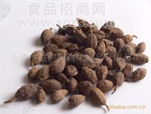 供應(yīng)草果>（粉）>專業(yè)品質(zhì)>>草果