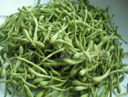 金银花茶